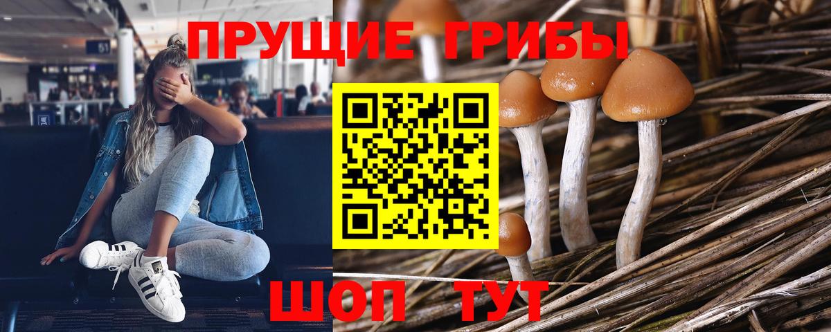 Спасск-Дальний  Псилоцибиновые грибы ЛСД  Вход с VPN 