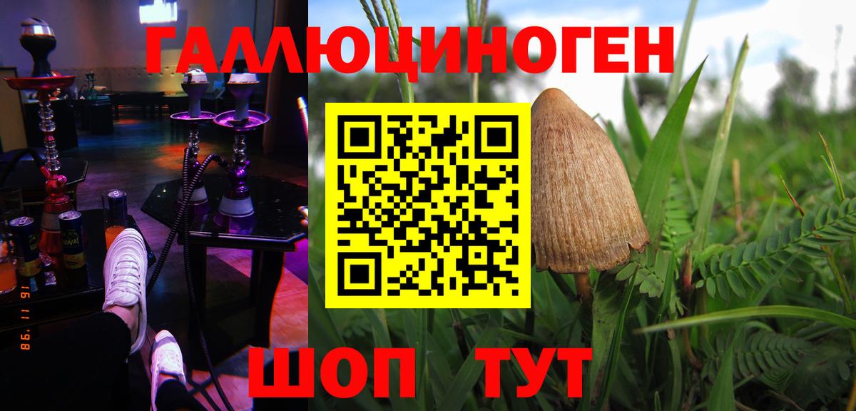 Псилоцибиновые грибы GOLDEN TEACHER Спасск-Дальний